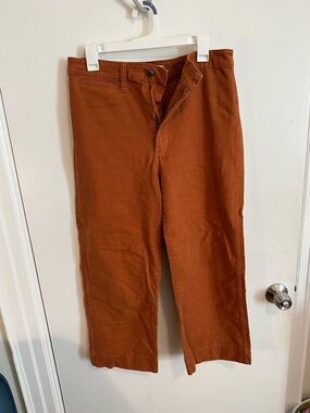 Madewell Wide-Leg Pants in Rust Brown
